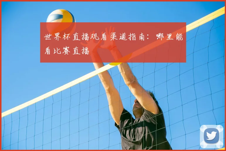 世界杯直播观看渠道指南:哪里能看比赛直播