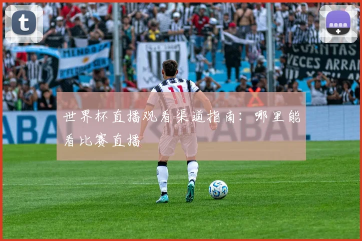 世界杯直播观看渠道指南:哪里能看比赛直播