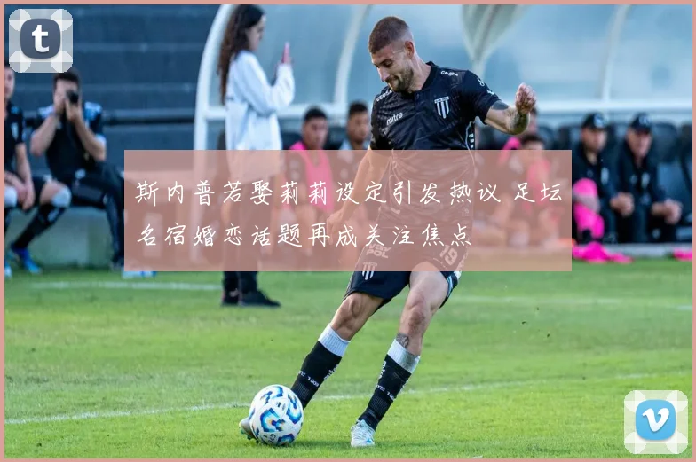 斯内普若娶莉莉设定引发热议 足坛名宿婚恋话题再成关注焦点