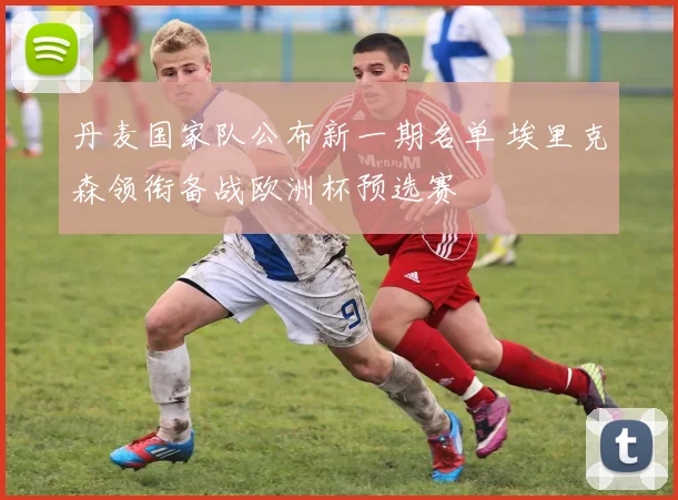 丹麦国家队公布新一期名单 埃里克森领衔备战欧洲杯预选赛