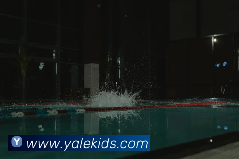 App Interface Preview