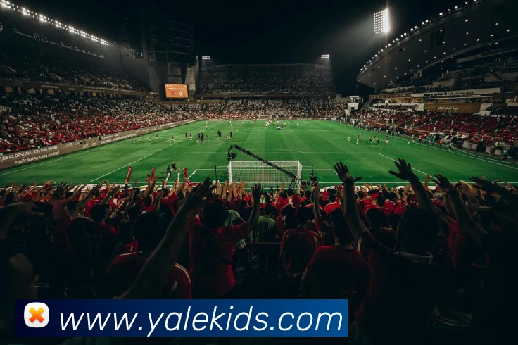 开云官方在线登陆入口APP 封面图